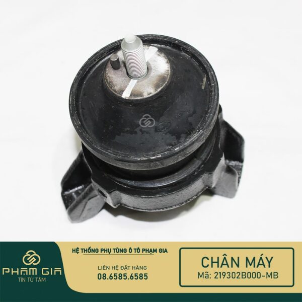 CHAN MAY SAU 219302B000-MB