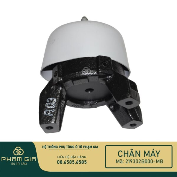 CHAN MAY SAU 219302B000-MB