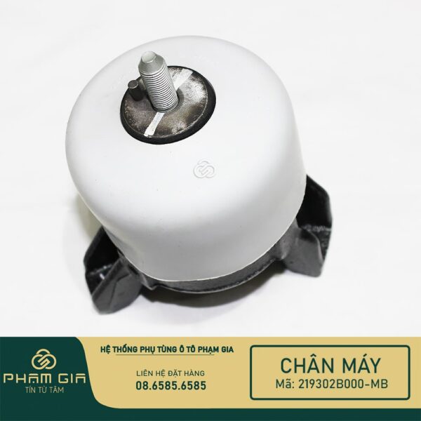 CHAN MAY SAU 219302B000-MB