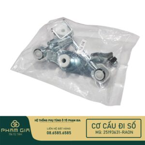 CO CAU DI SO 25193631-RAON