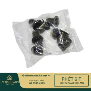PHOT GIT 222242F001-MB