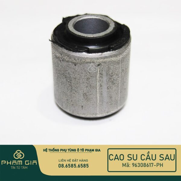 CAO SU CAU SAU 96308617-PH