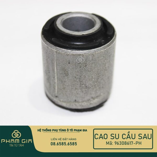 CAO SU CAU SAU 96308617-PH