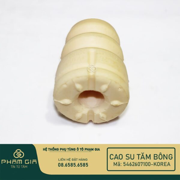 CAO SU TAM BONG 5462607100-KR