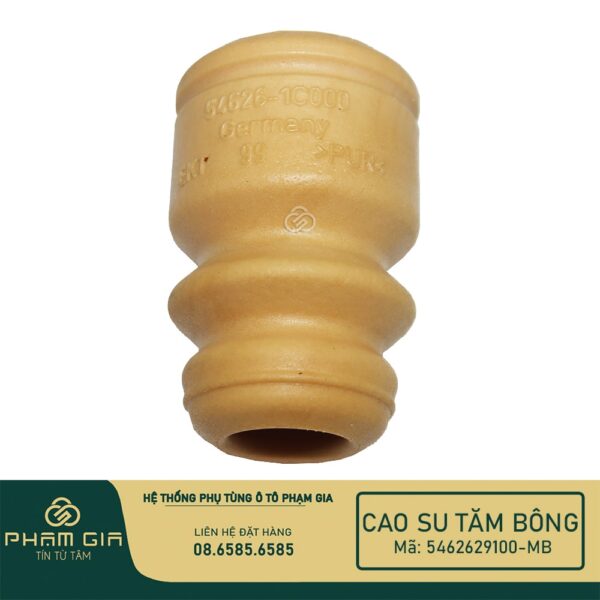 CAO SU TAM BONG 5462629100-MB