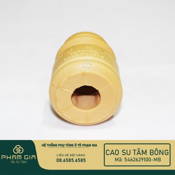 CAO SU TAM BONG 5462629100-MB