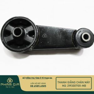 THANH GIANG CHAN MAY 2193007101-MB