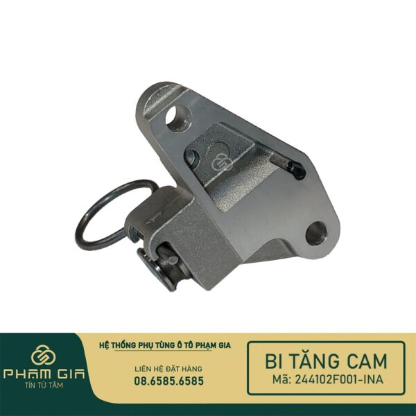 BI TANG CAM 244102F001-INA