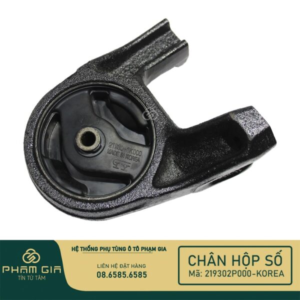 CHAN MAY SAU 219302P000-KR