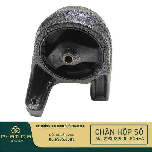 CHAN MAY SAU 219302P000-KR