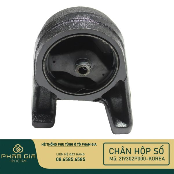 CHAN MAY SAU 219302P000-KR