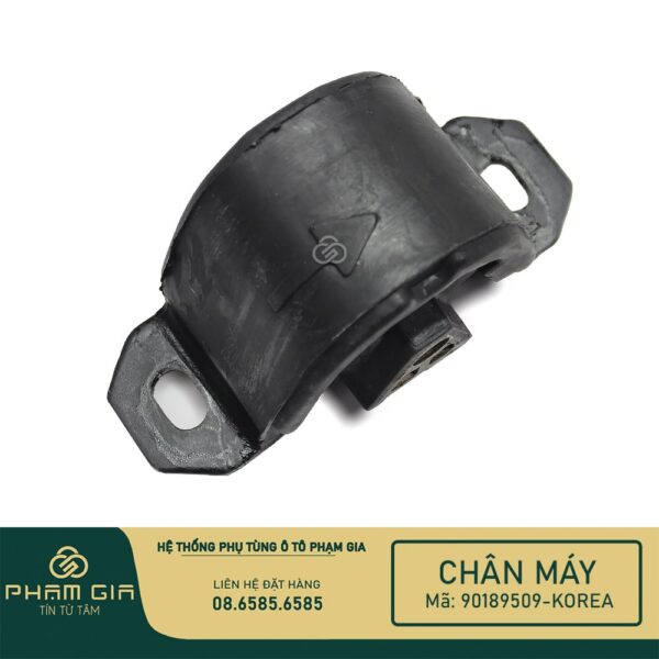 CHAN MAY SAU 90189509-KR