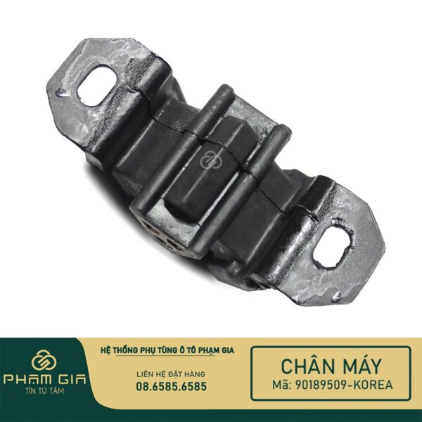 CHAN MAY SAU 90189509-KR