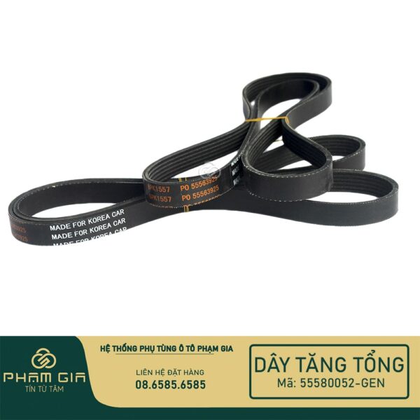 DAY TANG TONG 55580052-GEN