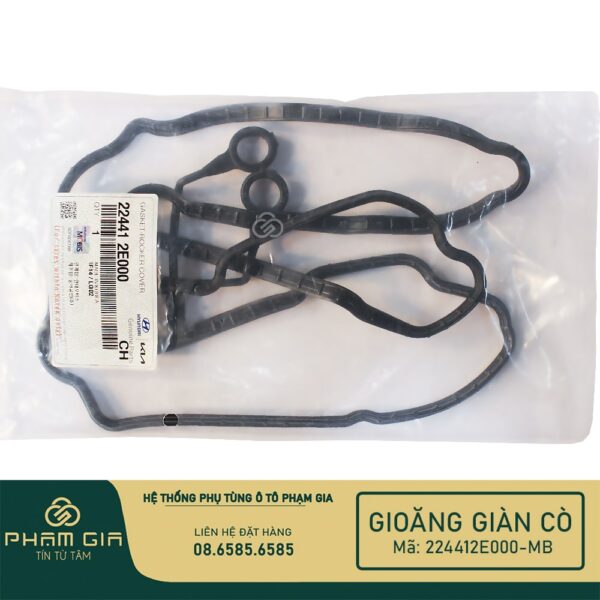 GIOANG GIAN CO 224412E000-MB