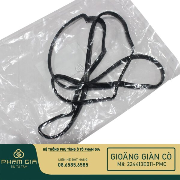 GIOANG GIAN CO 224413E011-PMC