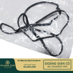 GIOANG GIAN CO 224413E011-PMC