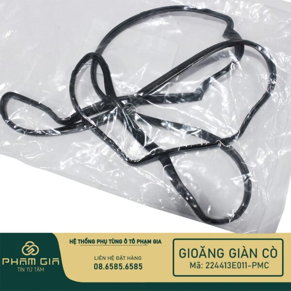 GIOANG GIAN CO 224413E011-PMC