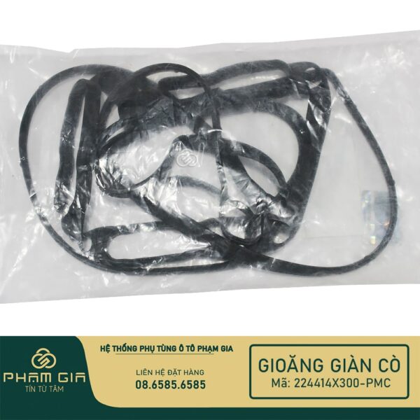 GIOANG GIAN CO 224414X300-PMC