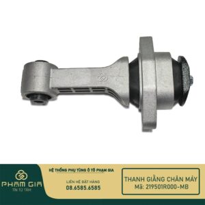 THANH GIANG CHAN MAY 219501R000-MB