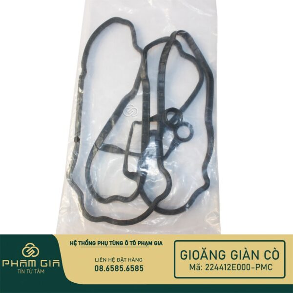 GIOANG GIAN CO 224412E000-PMC