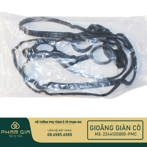 GIOANG GIAN CO 224412G000-PMC