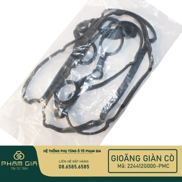 GIOANG GIAN CO 224412G000-PMC