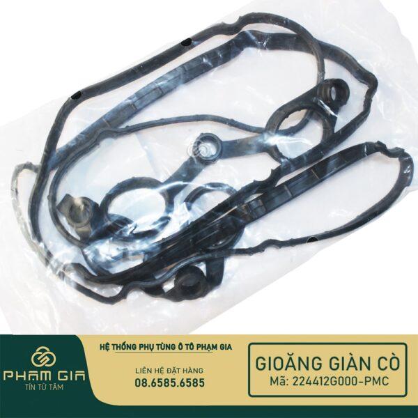 GIOANG GIAN CO 224412G000-PMC