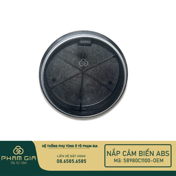 NAP CAM BIEN 58980C1100-OEM