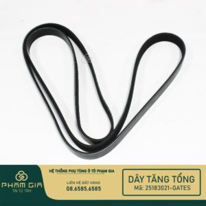 DAY TANG TONG 25183021-GATES