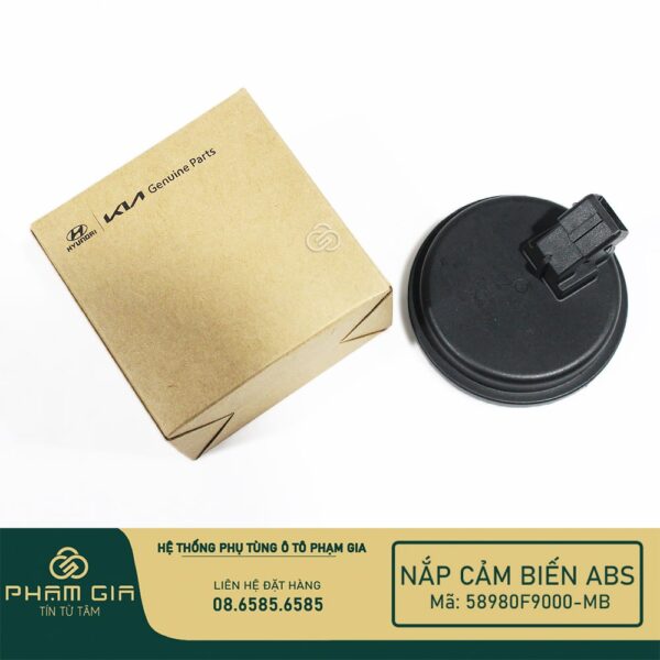 NAP CAM BIEN 58980F9000-MB (2)