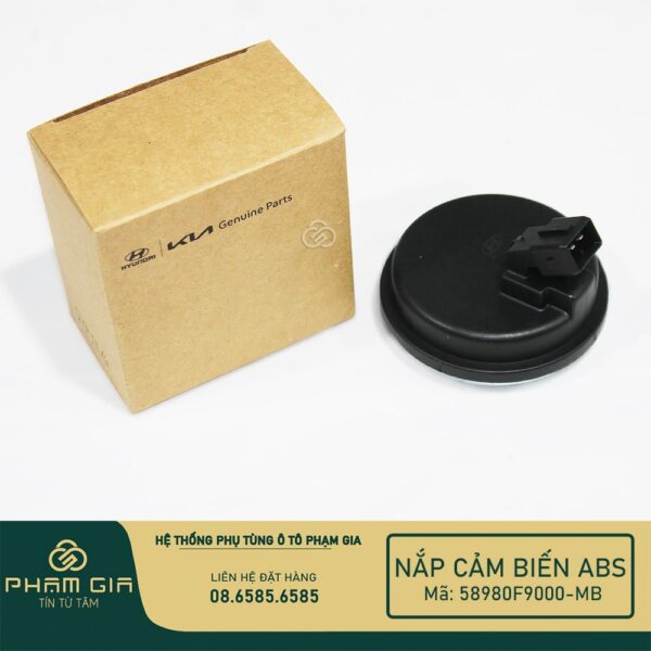 NAP CAM BIEN 58980F9000-MB (2)