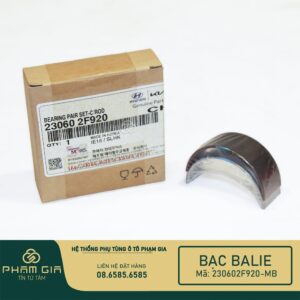 BAC BIEN 230602F920-MB