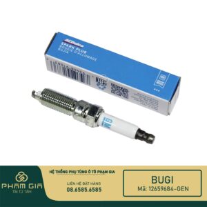 BUGI 12659684-GEN