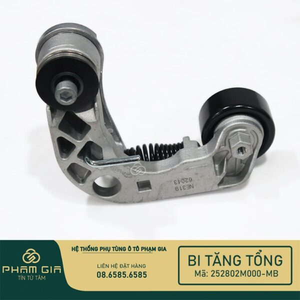 BI TANG TONG 252802M000-MB