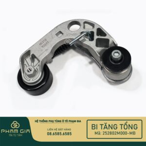 BI TANG TONG 252802M000-MB