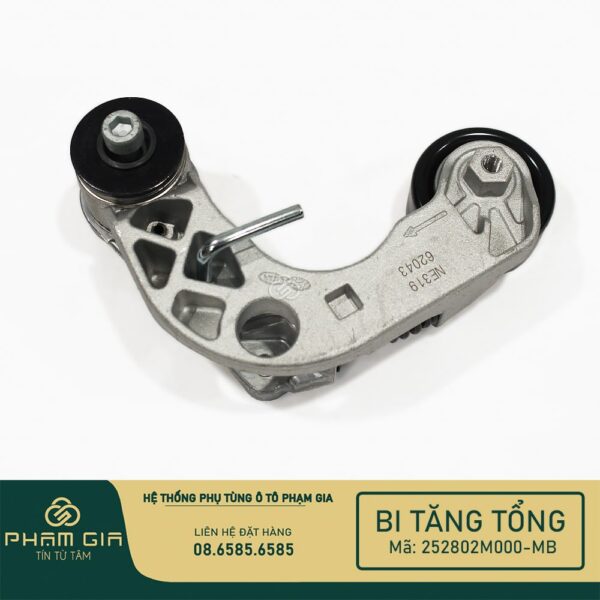 BI TANG TONG 252802M000-MB