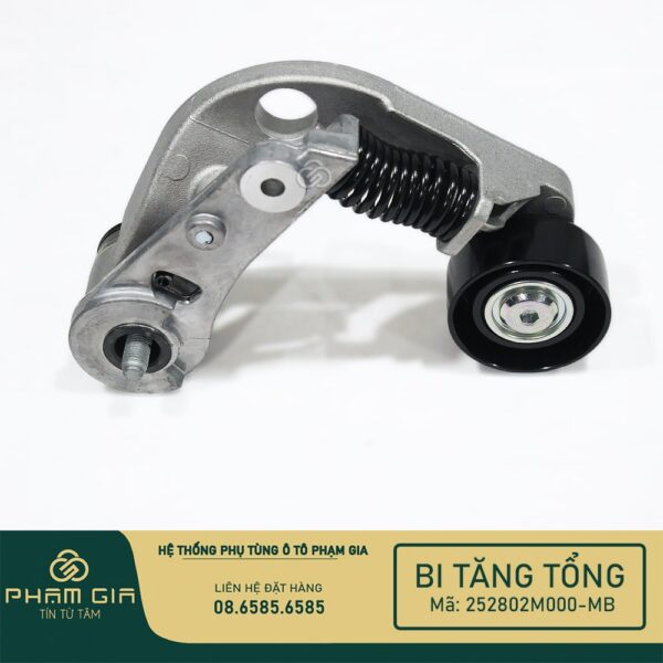 BI TANG TONG 252802M000-MB