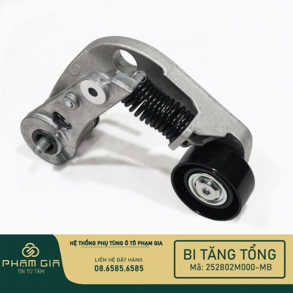BI TANG TONG 252802M000-MB