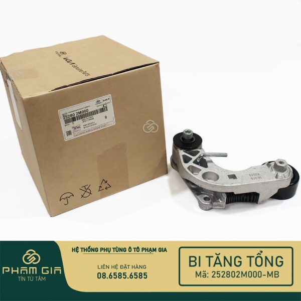 BI TANG TONG 252802M000-MB