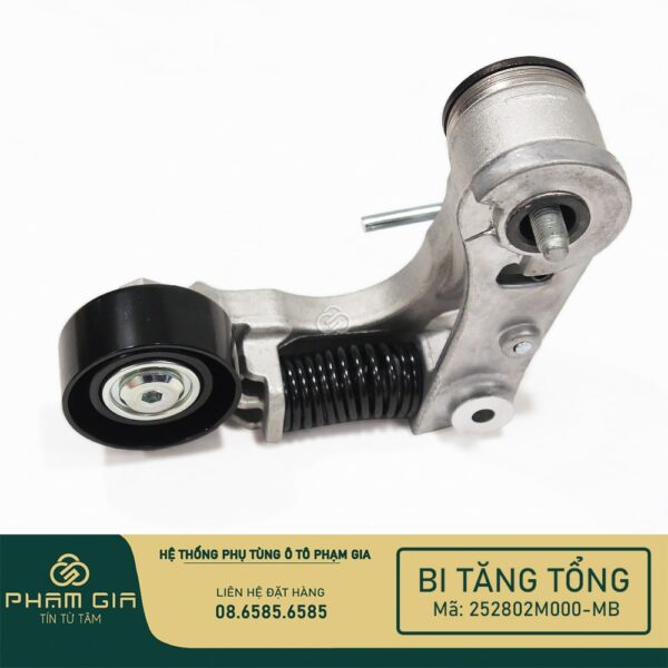 BI TANG TONG 252802M000-MB