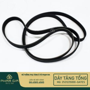 DAY TANG TONG 2521225000-GATES