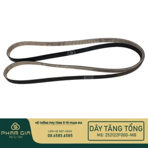 DAY TANG TONG 252122F000-MB