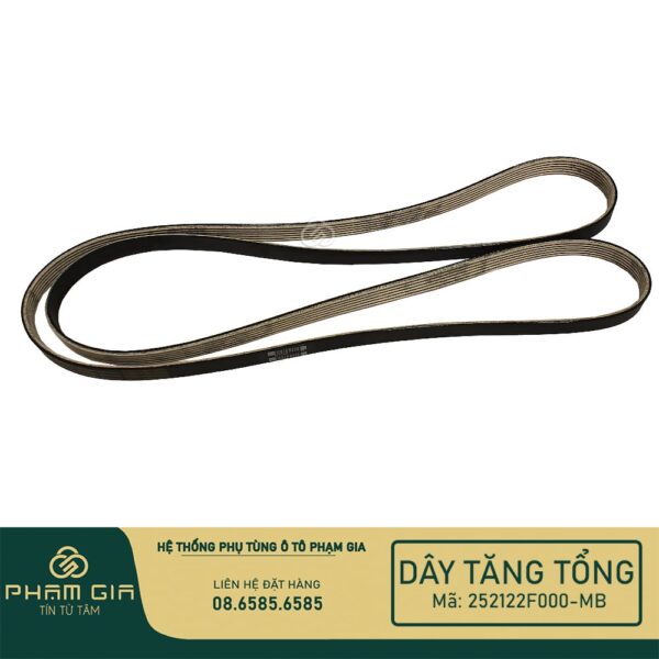 DAY TANG TONG 252122F000-MB
