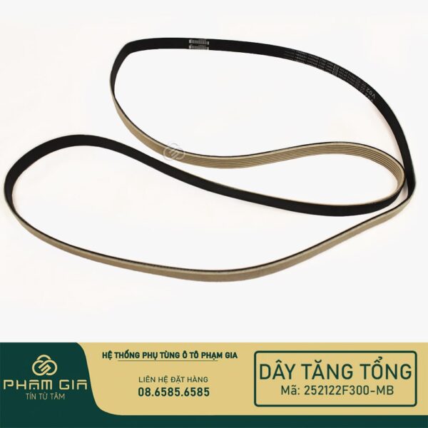 DAY TANG TONG 252122F300-MB