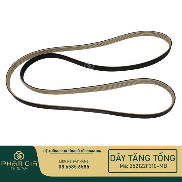DAY TANG TONG 252122F310-MB