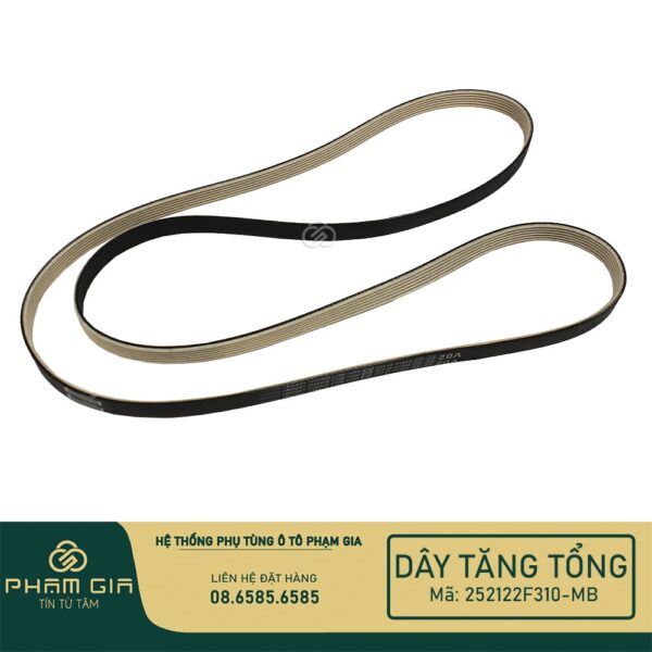 DAY TANG TONG 252122F310-MB