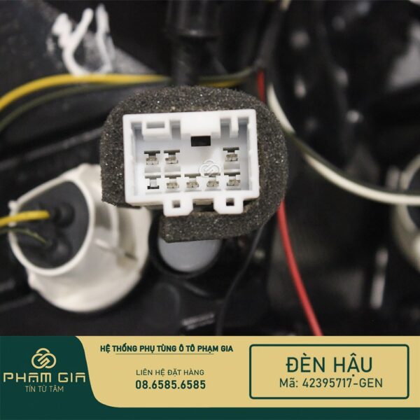 DEN HAU 42395717-GEN