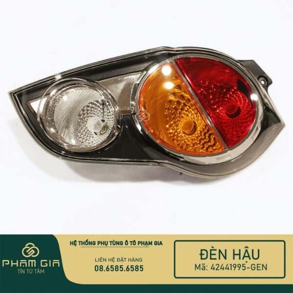 DEN HAU 42441995-GEN