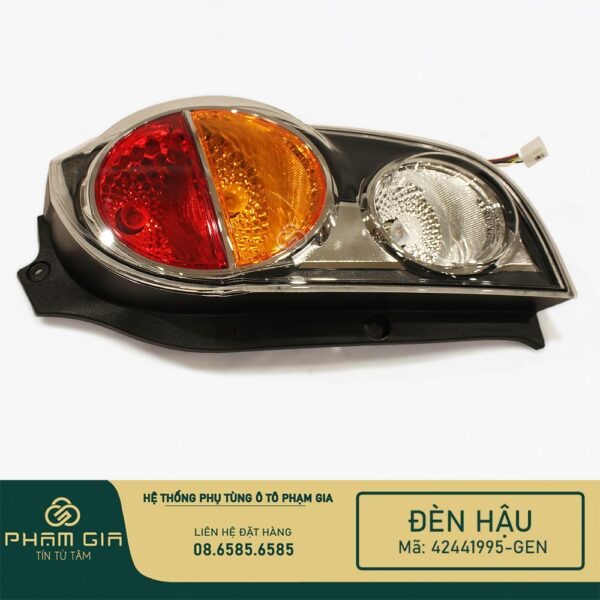 DEN HAU 42441995-GEN